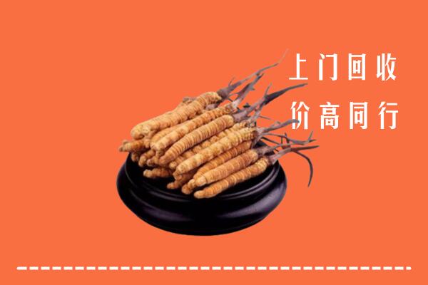 高价求购：南京江宁回收散虫草
