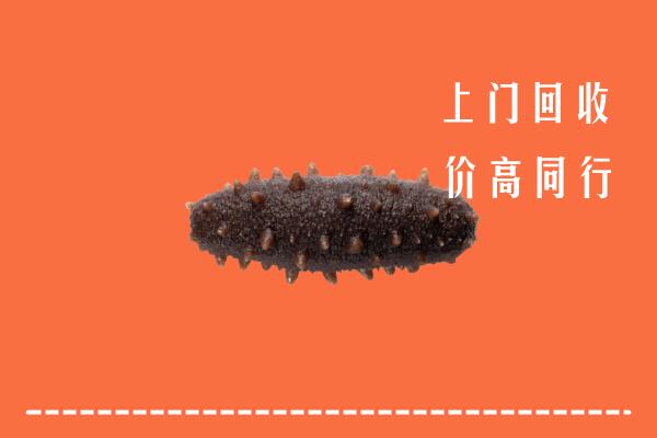 高价求购：南京江宁回收海参