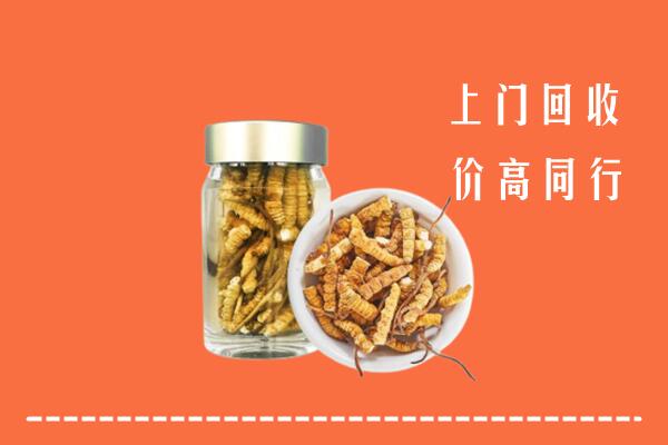 南京江宁回收冬虫夏草