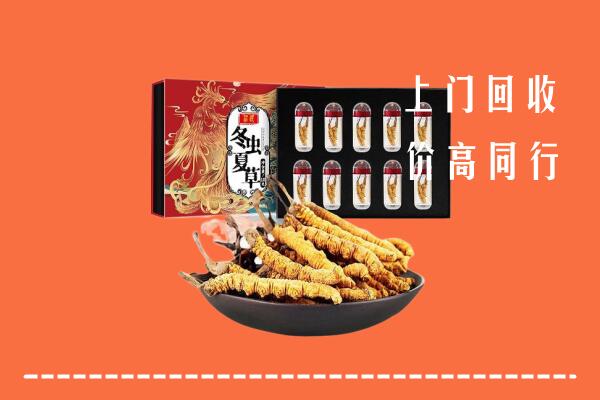 南京江宁回收虫草